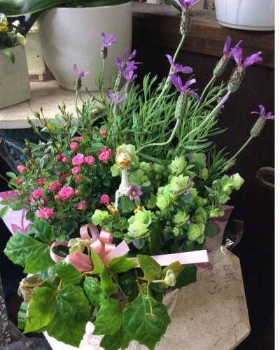 画像1: バスケットアレンジ