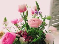 2019年2月レッスン